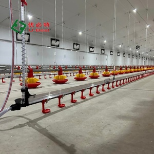 Automatische Nieuwe Ontwerpfabriek Levert Stalen Frame Kippenhok Vleeskuikens Landbouwmachines Met Feeder-En Drinksysteem - Product Image 1