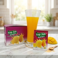 Poudre de jus instantanée aromatisée à l'ananas OEM 10g pour 2 litres Haute qualité avec un goût délicieux Poudre pour boisson