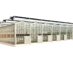 XINHE Commercial Moving Seedbed Glass Venlo Greenhouse