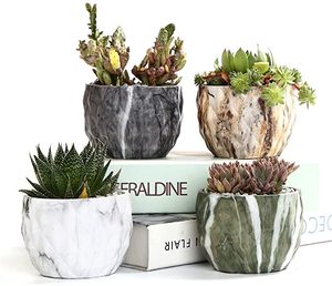 Piantatrice di Cactus succulenta in marmo piccolo vaso di ceramica <span class=keywords><strong>per</strong></span> piante <span class=keywords><strong>da</strong></span> <span class=keywords><strong>interno</strong></span> Mini vaso di <span class=keywords><strong>fiori</strong></span> in gres - Product Image 1