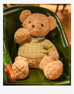 Orsacchiotti di Peluche Morbidi per Dormire, Giocattoli Personalizzati in Peluche - Product Image 6