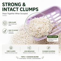 Litière pour chat à base de plantes mélangées, mélange personnalisé disponible, biodégradable, compostable, durable, écologique, OEM ODM
