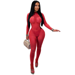 TW822 2026 İlkbahar Yeni Kadın Modası Seksi Tek Renk Tek Parça Çorap Şeffaf Dar Beden Giysisi Parlak Dikişsiz Tulum - Product Image 4