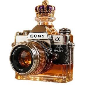 Botellas de Vino de Vidrio con Forma de Cámara, Nuevo Diseño, Gran Venta - Product Image 2