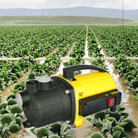 Pompe centrifuge auto-amorçante portable en plastique avec interrupteur marche/arrêt pour l'irrigation des jardins, l'eau domestique et le changement d'eau des bassins à poissons