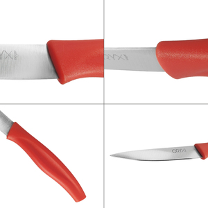Coltello da cucina Nuuk, lama in acciaio inossidabile, 9 cm, rosso (1 unità) - Product Image 5