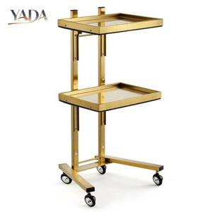<span class=keywords><strong>Chariot</strong></span> de Salon Roulant Moderne et Polyvalent pour Salon de Coiffure, Barbier, Spa - Mobilier de Salon Durable en Acier Inoxydable à 4 Roues - Product Image 3