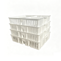 Nouvelle cage de transport pour poussins en PP à 4 compartiments, moulage monobloc, poignée respirante antidérapante, boîte de transport pour poussins et pousseronnières, volaille