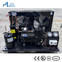Unité de condensation haute performance 3HP refroidie par air avec moteur pour entrepôt frigorifique de fruits et chambre froide