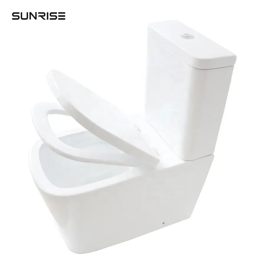 White lavatory toilette wc pan dual flush ceramic floor mounted sanitary ware luxury vanity washroom design toilet and shower