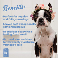 Shampoo pour animaux de compagnie à l'avoine et à l'aloe vera, écologique, naturel, pour chiens et chats, en bouteille en plastique de 12 fl oz, marque privée
