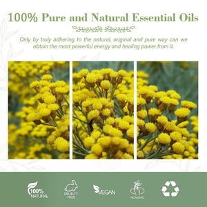 Hot Selling 100% reines natürliches ätherisches <span class=keywords><strong>Helichrysum</strong></span> <span class=keywords><strong>Italicum</strong></span>-Öl in Bulk-<span class=keywords><strong>Helichrysum</strong></span> öl - Product Image 5