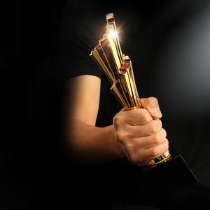 Trofeo personalizado <span class=keywords><strong>de</strong></span> fútbol <span class=keywords><strong>de</strong></span> resina, premios <span class=keywords><strong>de</strong></span> <span class=keywords><strong>voleibol</strong></span> - Product Image 6