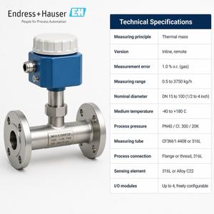 Débitmètre massique thermique 6F5B bidirectionnel à distance pour gaz SIL 2 DN15-100 Endress+Hauser - Product Image 2
