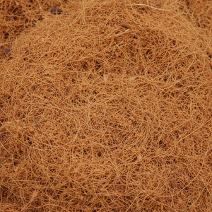 Fibre de noix de coco naturelle de haute qualité pour matelas brosses cordes tapis de culture paillis fibre de coco vente en gros de l'Inde - Product Image 1