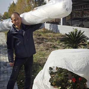 Anticongelante y a prueba de plagas 100% algodón spunlace tela no tejida 22 Malla tela de cultivo cubierta de planta - Product Image 6