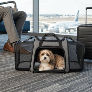 Transportadora Expandible para Mascotas Oxford con Bolsillos Laterales para Gatos y Perros Pequeños, Logotipo Personalizado de Fábrica, Portátil para Viajes, OEM ODM, Suministros para Mascotas - Product Image 1