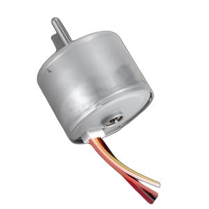 고출력 12V/24V BLDC 전동기 브러시리스 <span class=keywords><strong>DC</strong></span> 모터 BL2418 20W (전동 공구용 영구 자석 포함) - Product Image 1