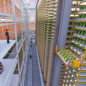 Système d'hydroponie vertical Smart Superfarm NFT Channel Indoor Farm, équipements pour la culture de fourrage en conteneur - Product Image 4