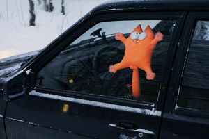 Divertido Juguete de Peluche Personalizado de Gato Simons, Accesorios para Automóviles con Diseño de Animales, Regalos - Product Image 6