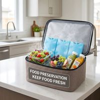 Garder la brique de glace froide de sac à dos de refroidisseur pour le transport de long temps de nourriture