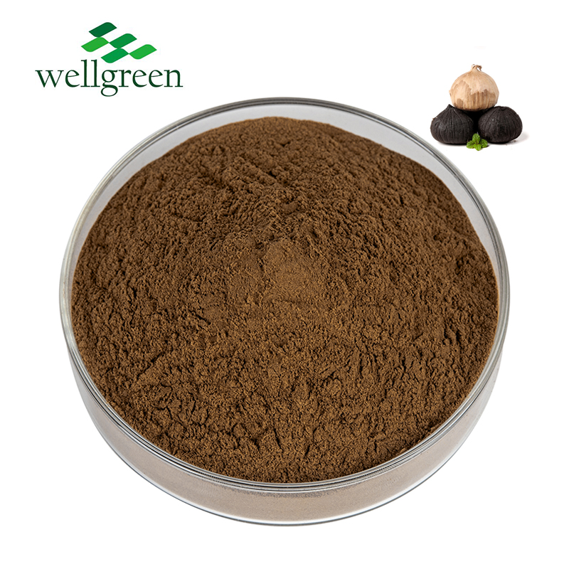 Wellgreen Natural Nutrition Bulk Diet Fermented Polyphenol Powder Black Garlic Extract