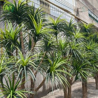 Arbre artificiel Dracaena tropical en plastique, tronc détaché, réaliste et durable, pour la décoration paysagère extérieure