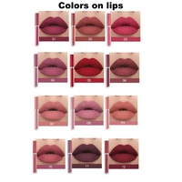 Ensemble de Rouges à Lèvres Liquides Mats, Maquillage des Lèvres Résistant à l'Eau pour Filles et Femmes, Kit de Gloss à Lèvres Hydratants Multi-Couleurs