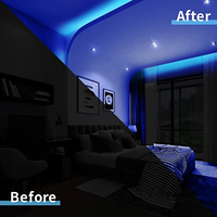 Bande lumineuse néon flexible RVB en gros, bande LED néon à indice de rendu des couleurs élevé pour la décoration murale et les projets DIY