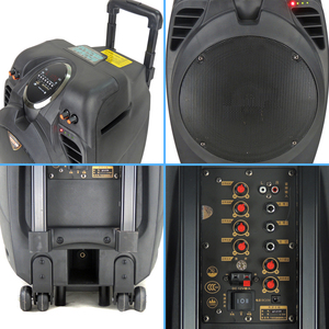 Chuyên nghiệp 1000 Watts Xe đẩy Loa tất cả các loại xách tay Trần tweeters RGB LED chiếu sáng cung cấp tất cả các loại Loa di động - Product Image 5