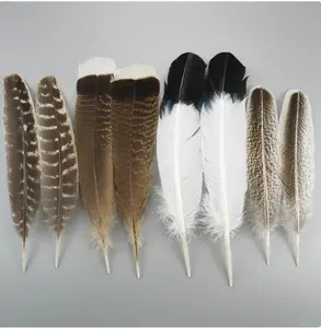 Eagle Feather Vases Decoration Carnival Accessories 20-30cm Natural Turkey Plume for Needlework and Handicrafts