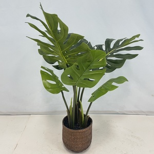 Plante artificielle d'intérieur/extérieur Live <span class=keywords><strong>Monstera</strong></span> de haute qualité Faux arbre en plastique Design pour la décoration de la maison et du bureau - Product Image 3