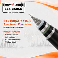 Câble d'alimentation moyenne tension NA2XSB(AL)Y 1 conducteur en aluminium, isolation XLPE, gaine en PVC, blindage en bande d'aluminium, norme IEC 60502