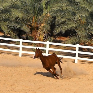 Panel pagar kuda Paddock PVC Taman mewah 6x8 3 rel tahan UV tinggi 6 kaki - Product Image 2