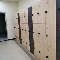 Casiers de conception minimaliste personnalisée superbes pour l'école, le bureau, l'hôtel, l'atelier, la salle de sport, l'hôpital et le supermarché Application de meubles