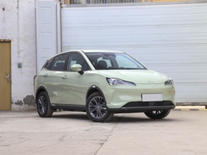 Excellent rapport qualité-prix Neta V Tide 400 EV, SUV compact 5 places, conduite à gauche, excellent état, autonomie de 400 km, véhicule électrique d'occasion - Product Image 2