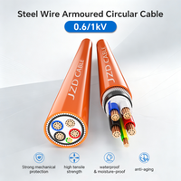 JZD OEM/ODM X-90 XLPE PVC-Mantel SAA 4C+Erde Photovoltaik-Kabel 0,6/1kV 4C+E SWA Stahldrahtarmiertes Stromkabel