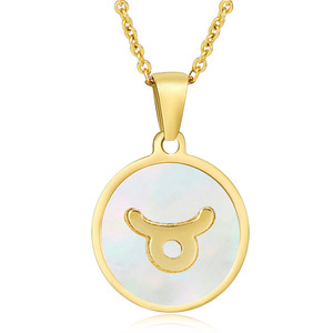 Bezoedelt Gratis Luxe Sieraden Astrologie 12 Dierenriem Ketting Rvs Titanium Stalen Ketting Hanger Kettingen - Product Image 6