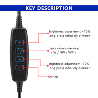 Câble USB 2M 5V pour LED, variateur de couleur tricolore, contrôleur 4 touches 2 canaux, noir et blanc, pour éclairage LED basse tension CCT bicolore