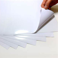 Rouleau de vinyle PVC auto-adhésif à faible adhérence Impression éco-solvant personnalisée Nouveau matériel publicitaire Matériaux d'affiche amovibles permanents