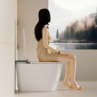 Toilette intelligente de luxe DOLOGI avec bidet japonais siège de télécommande chauffage femelle lavage autonettoyant fonction intelligente