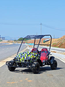 Kart Eléctrico Todoterreno Familiar Personalizado para Exteriores, Motor DC sin Escobillas <span class=keywords><strong>de</strong></span> 1200W, para Dos Personas, Quad para Parejas - Product Image 1