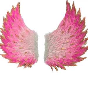 Ailes en Plumes Décoration de Fête Ailes d'Ange Roses Décoration d'Amour Accessoires Photo Décoration de Fond - Product Image 6