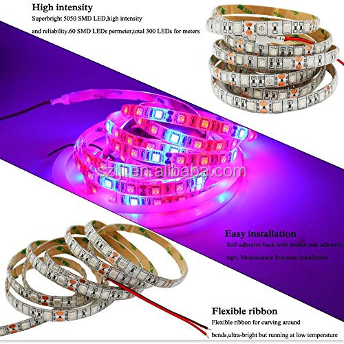 Impermeable 3 rojo 1 azul de 12 voltios DC SMD 5050 tira de LED planta crecer luces/Tira suave