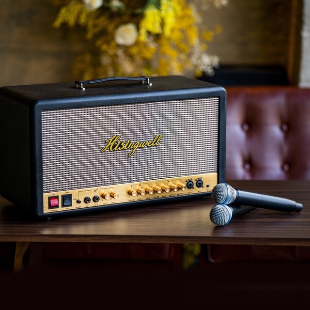 Voxfull MS06 Guitar Speaker Cabinet Combo Amplifier Wireless Microphone Stand 2x150W Output Wooden Aluminium Alloy Construction