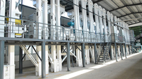 Machine à décortiquer le riz à haut rendement 100TPD, haute précision, certifiée ISO9001, avec moteur, système complet automatique, prix compétitif