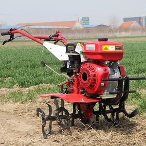7HP 2WD <b>Gasoline</b> Eco-Friendly Mini Power Tiller with Adjustable Tilling Depth for Garden Tractor Use - Product Image 1