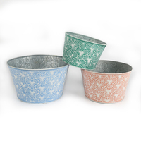 Pot de fleurs en fer, petit pot de plantes, pour jardin et maison, léger, durable, design mignon, métal galvanisé, lignes vertes et bleues