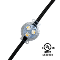 DC12V 24V 48V Étanche Smart RGBW LED Pixel Lumières Extérieures avec IP68 Cote 5050 5054 SMD LED Éclairage Point D'éclairage