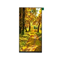Yousee 5,5 Zoll 480*960 Auflösung mit 2-Lane MIPI-Schnittstelle IPS LCD-Modul ST7701S TFT LCD-Anzeigemodul für Spielkonsolen-LCD
